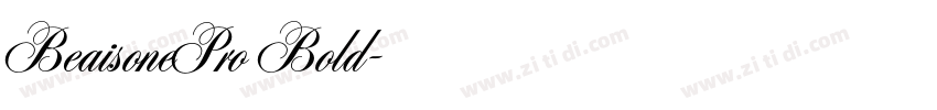 BeaisonePro Bold字体转换
